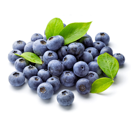 Blueberry Seeds