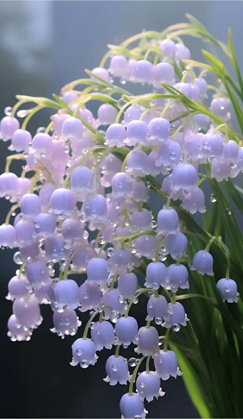 BUY 1 GET  2 !!! ✨🌱  Lily of the Valley-Naturally scented flowers（mix color-200seeds）