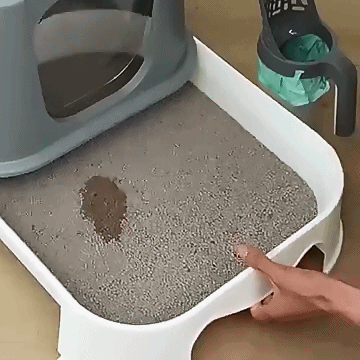Cat Litter Scoop