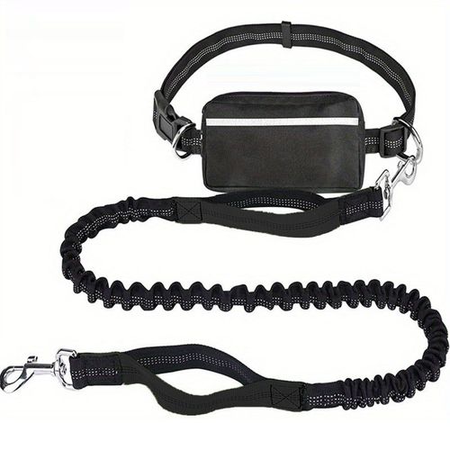 Dog Leash