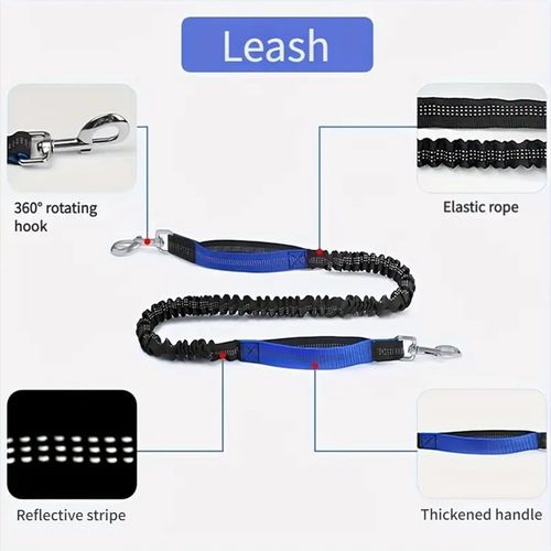 Dog Leash