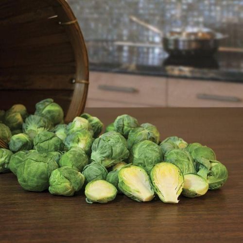 Brussels Sprouts Marte