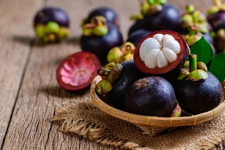 BUY 1 GET  10 !!!  Mangosteen seeds （50seeds）