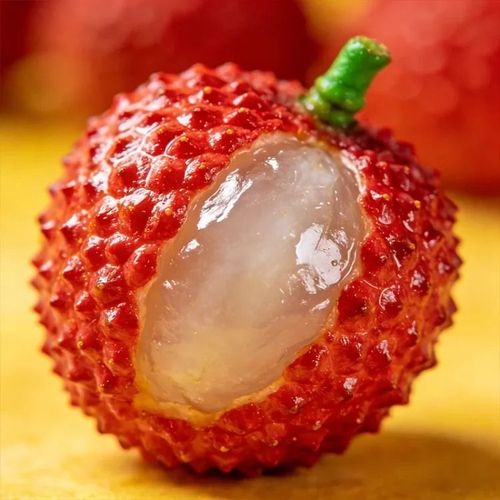 🍃 Premium Lychee Seeds – Plant & Harvest Your Tropical Dream 🌞 Price