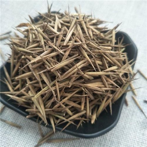 Bamboo Cypress Seeds