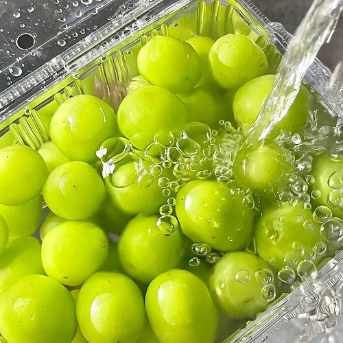 Sunshine Rose Grape Seeds