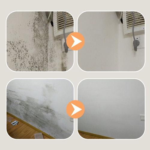 Grip Dust - Free Sanding Disc with 10 pcs 240Grit Sandpaper