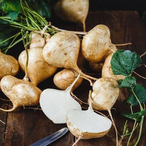 Exclusive Offer💥Rich, Juicy and Nutritious Crispy Fruit -Sweet Jicama for Planting in Your Home🍠