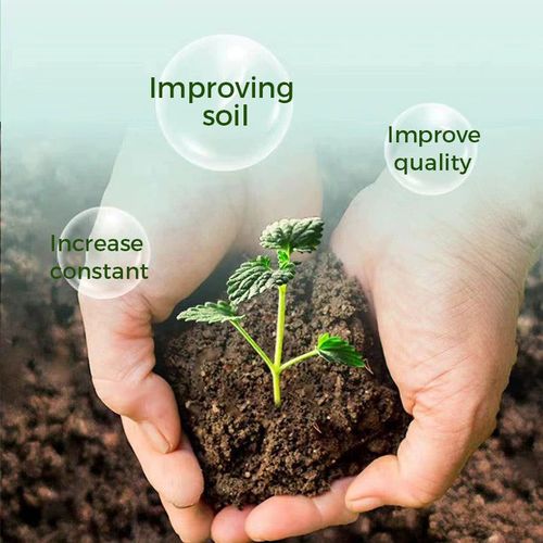 root stimulating powder