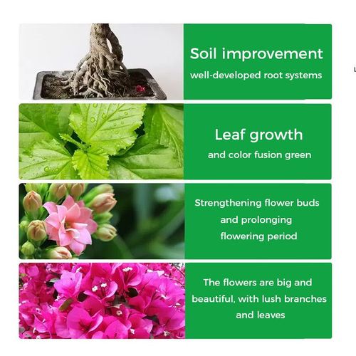 root stimulating powder