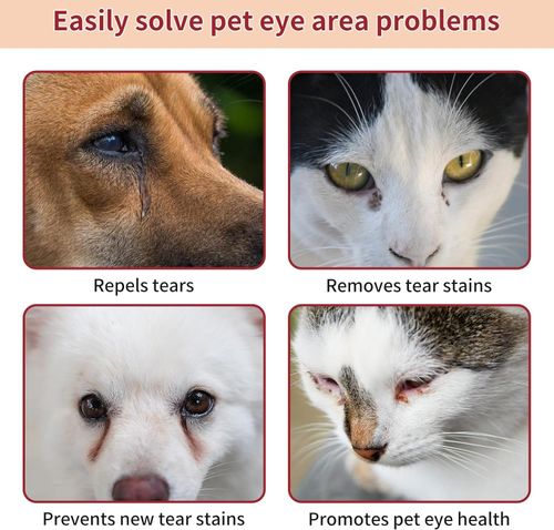 pet Tear Stain Brush Cream