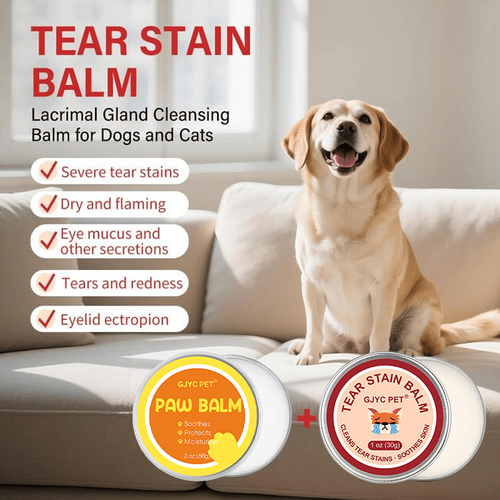 pet Tear Stain Brush Cream