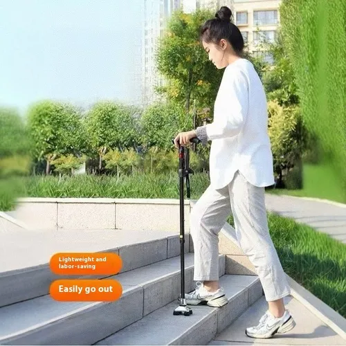 Smart Walking Stick