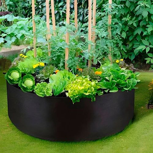 garden bed