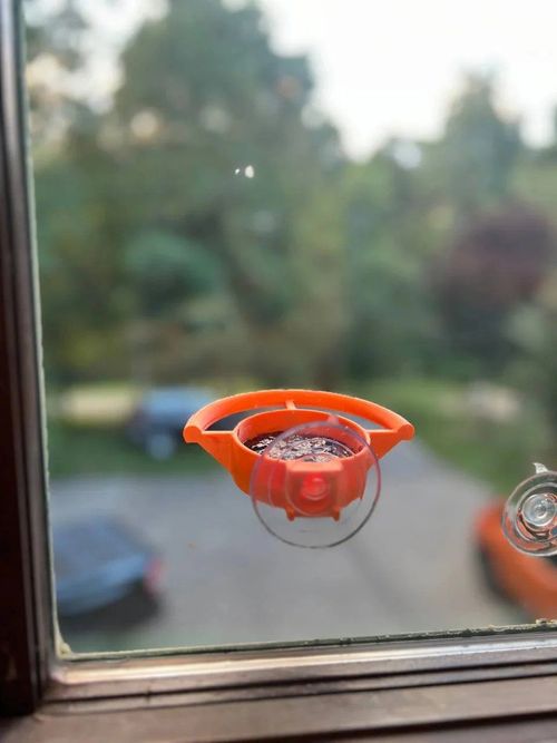 Bird Feeder Suction