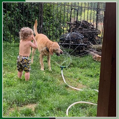 360-degree rotating garden sprinkler