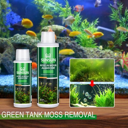 Moss Remover