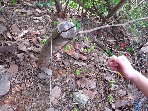 Saw Blade Survival Chain