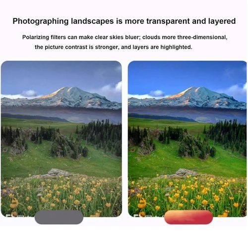 Circular Polarizing Filter