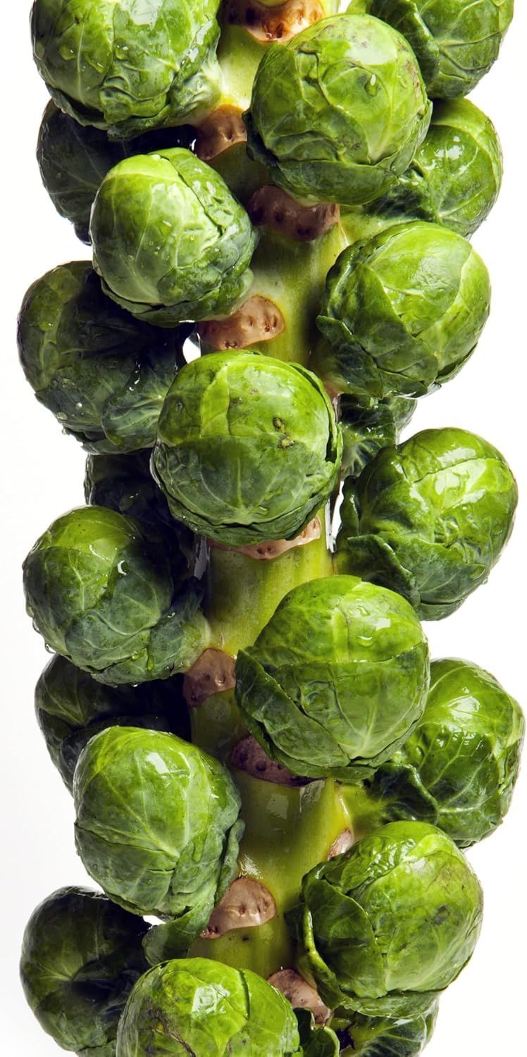 🌱Mini Cabbage Seeds-200 Seeds