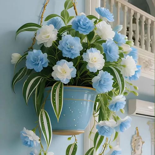 Spider Plant Bulbs Seeds