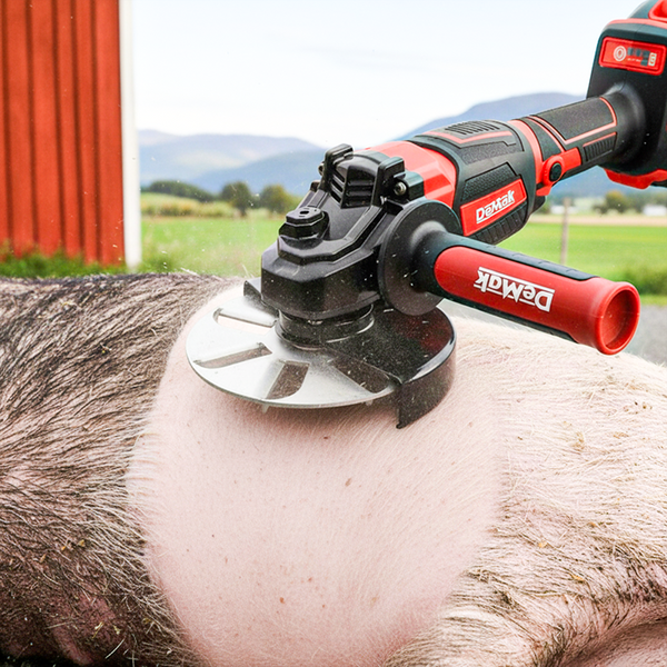 💥50% OFF!🧰Labor-Saving Pig Hair Remover Scraper Disc, Disc Only, Machine Not Included 👜