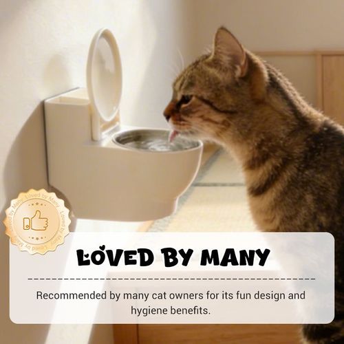 Wall Mount Funny Shaped  Pet Bowl & Ashtray