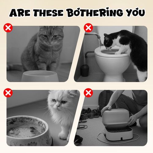 Wall Mount Funny Shaped  Pet Bowl & Ashtray