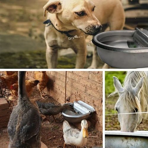 Animal Water Bowl