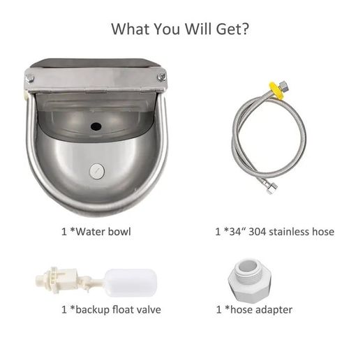 Animal Water Bowl