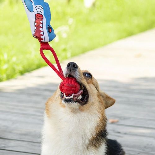 Interactive Shark Dog Tug Toy