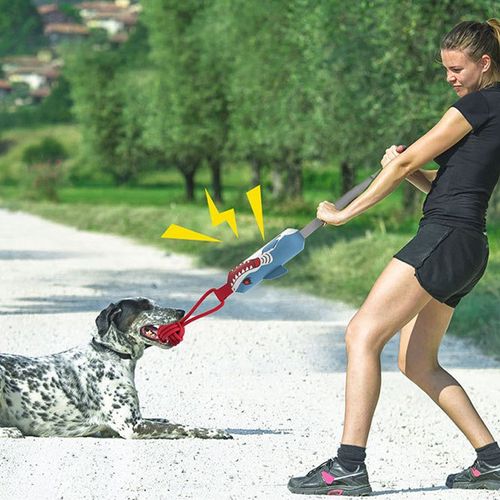 Interactive Shark Dog Tug Toy