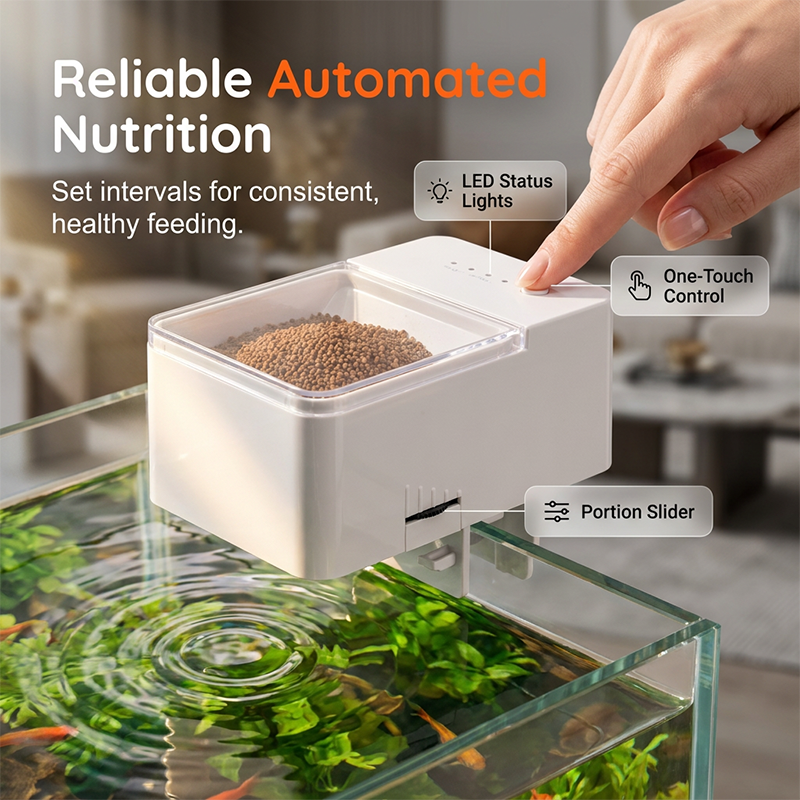 🐠⏰ Automatic Fish Food Feeder – Precision Feeding – Cash on Delivery ✅