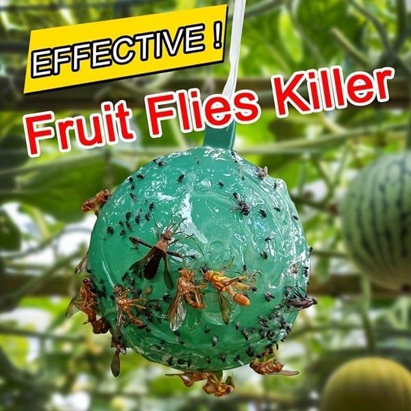 🔥BUY 1 GET 4🔥Hanging Environmental Fruit Fly Traps Sticky Traps