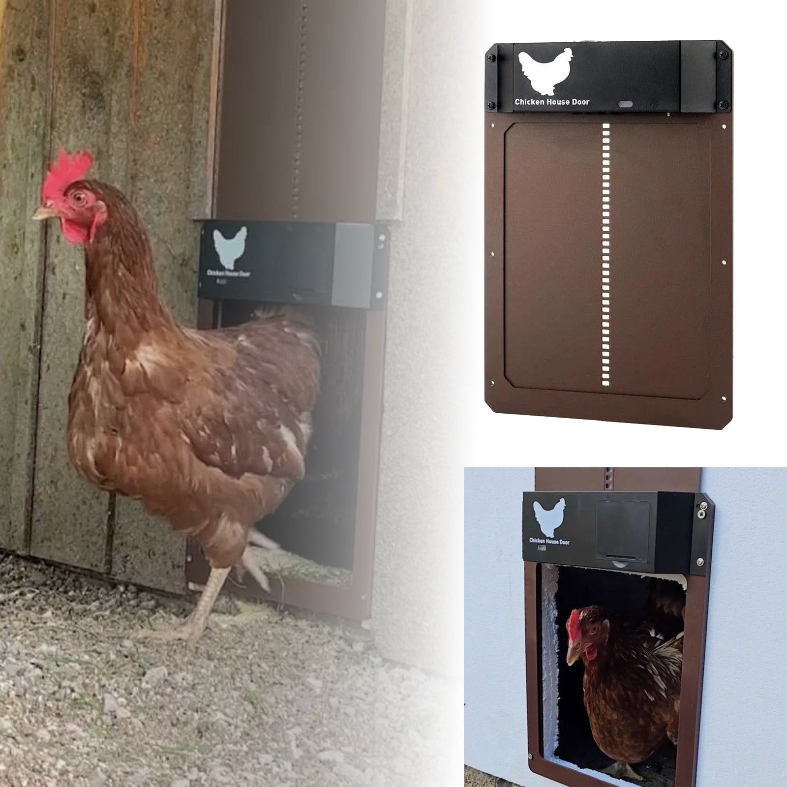 AUTOMATIC DOOR FOR CHICKEN HOUSE
