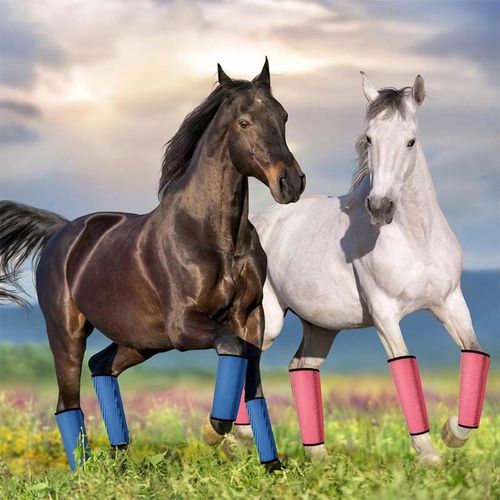 Horse Fly Repellent Leggings