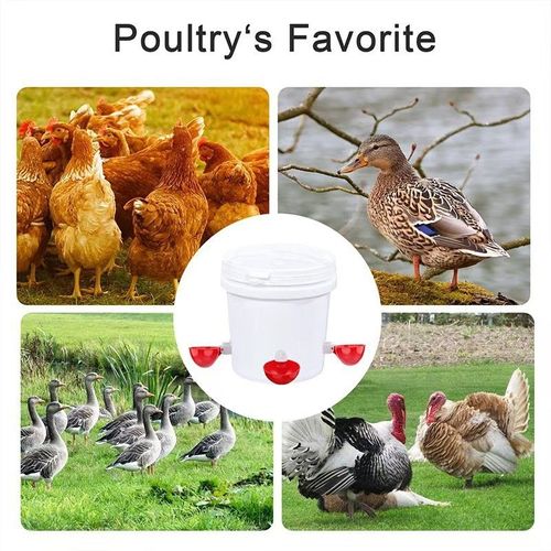 Automatic Animal Water Cups