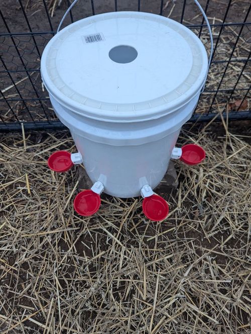 Automatic Animal Water Cups