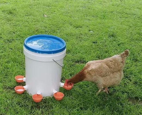 Automatic Animal Water Cups