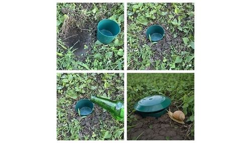 Snail Cage Bucket Trap