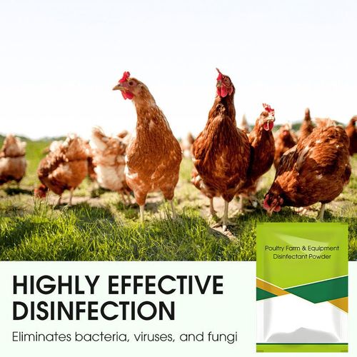 Poultry Farm and Equipment Disinfectant Powder