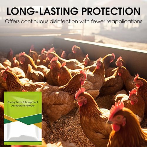 Poultry Farm and Equipment Disinfectant Powder