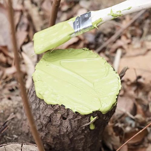 Wound Healing Agent