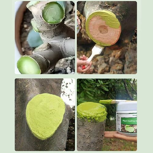 Wound Healing Agent
