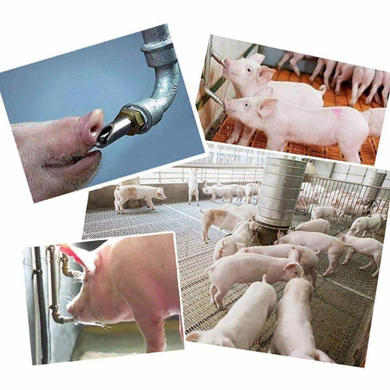 Automatic Drinker Kit Stainless Steel Pig Drinker  Threaded Interface Pig Drinker