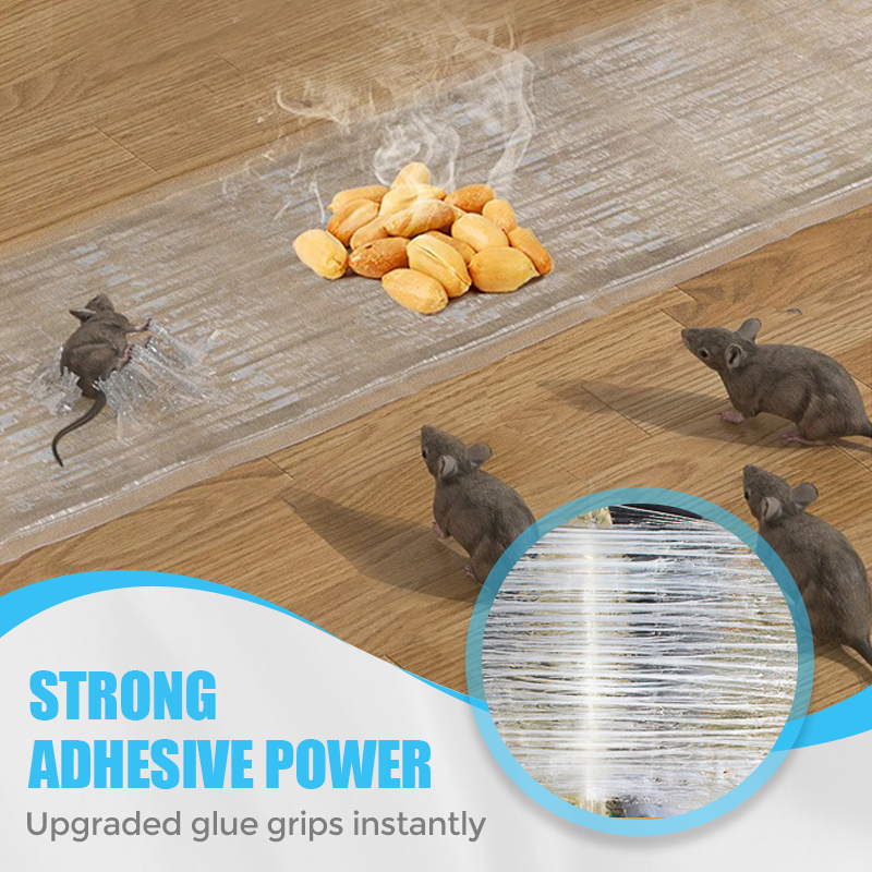 💥50% OFF ！1.2M Large Transparent Mouse Trap