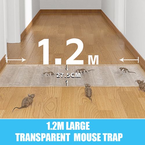 Transparent Mouse Trap