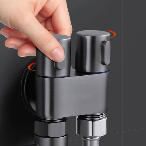 1 Input 2 Output Dual Control Valve