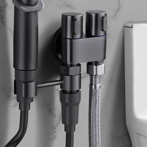 1 Input 2 Output Dual Control Valve