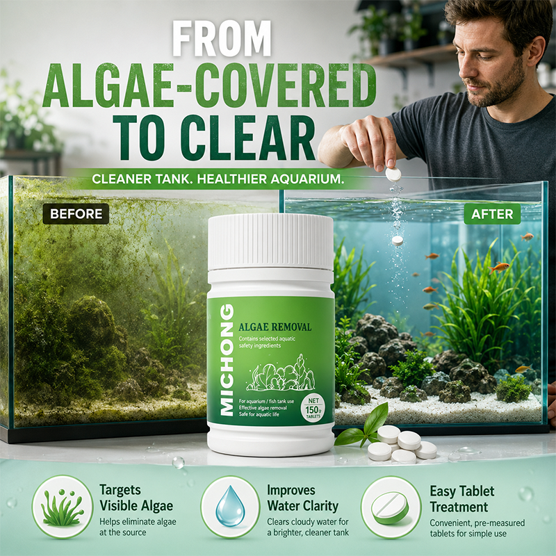 🔥BUY 1 GET 2!!💥Fast-Acting Anti-Algae Tablets for Aquarium🐟